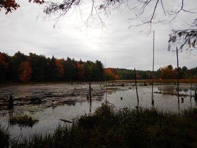 /international/us/flanders-hill-road-windsor-ny-110120129551/