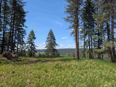 /international/us/750-mountain-top-drive-2-orofino-id-110119456544/