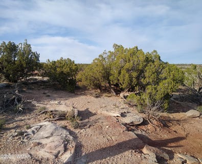 /international/us/8938-buffalo-ridge-lane-white-mountain-lake-az-110104158048/