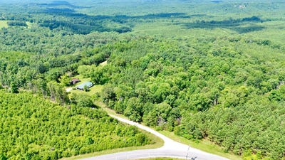/international/us/0-county-road-15-haleyville-al-110100948146/