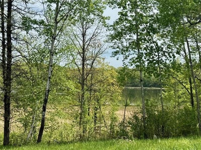 /international/us/xyz-dailey-lake-road-rutledge-mn-110108348172/