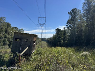 /international/us/belle-gardner-road-amite-la-110108914385/