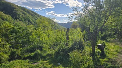 /international/us/4893-stanaford-rd-prince-wv-110108257795/