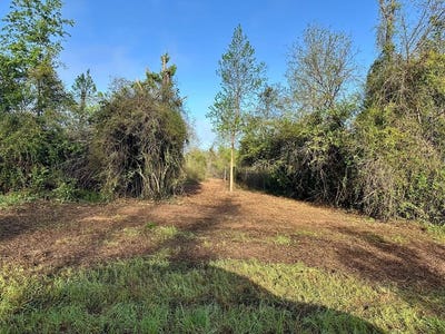 /international/us/5-58-acres-n-county-road-61-hartford-al-110106926498/