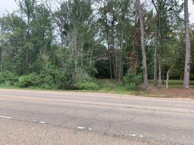 /international/us/highway-190-lot-0-robert-la-110089419694/