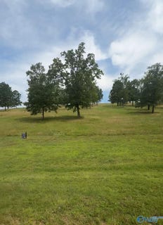 /international/us/county-road-1022-lot-220-cedar-bluff-al-110110259157/