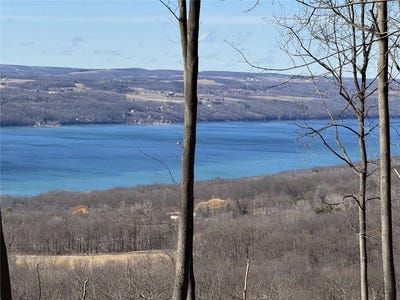 /international/us/satterly-hill-road-burdett-ny-110106618316/