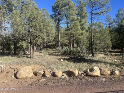 /international/us/rodgers-road-lakeside-az-110104119190/