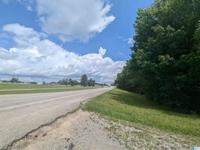 /international/us/0-1-46-acres-highway-21-lot-0-jacksonville-al-110104444349/