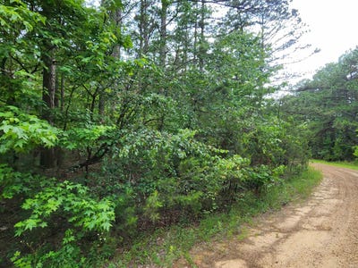 /international/us/coyne-and-elderberry-way-fairfield-bay-ar-110085595396/