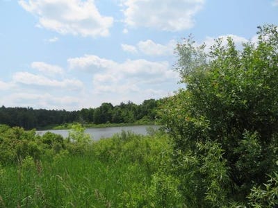 /international/us/a-portion-of-43-woodland-dr-prvt-hammond-ny-110094232440/