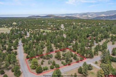 /international/us/tbd-lot-308-bear-cub-drive-ridgway-co-110108888324/