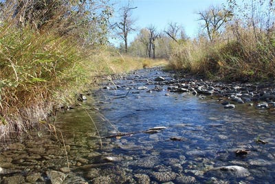 /international/us/61-rocky-creek-lane-clyde-park-mt-110102779272/