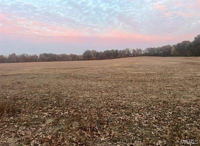 /international/us/0-county-road-237-bloomfield-mo-110104239611/