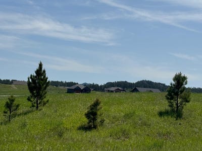 /international/us/lot-27-park-avenue-custer-sd-110100359968/?lang=zh-tw