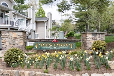 /international/us/10-crestmont-road-bedminster-twp-nj-110107552175/