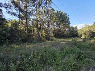 /international/us/nhn-parcel-5-redfish-rd-poplarville-ms-110120042637/