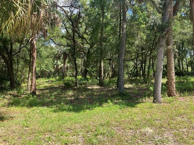 /international/us/12350-w-riverwood-drive-crystal-river-fl-110100390242/