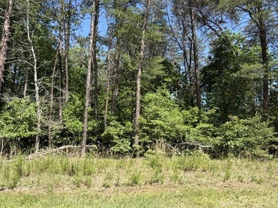 /international/us/beech-drive-lot-156-157-westminster-sc-110108097885/