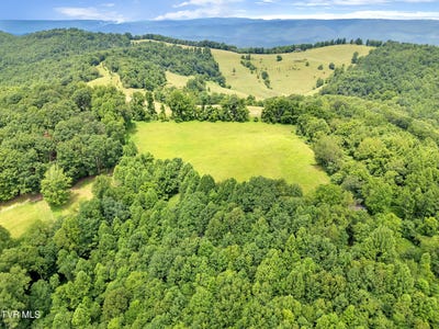/international/us/1859-luray-road-gate-city-va-110101150393/?lang=zh-cn
