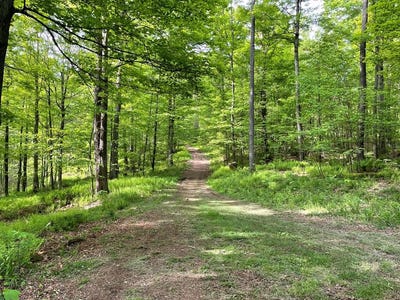 /international/us/00-mystery-mountain-lane-coudersport-pa-110099096251/?lang=zh-tw