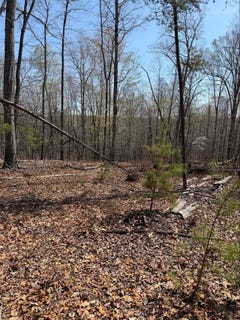 /international/us/0-logwood-ln-huddleston-va-24104-huddleston-va-110107287877/