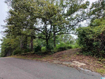 /international/us/160-circle-drive-pell-city-al-110101338549/