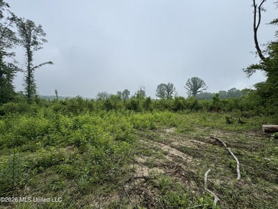 /international/us/w-gallatin-street-hazlehurst-ms-110108171035/