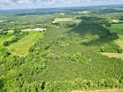 /international/us/1096-us-hwy-231-s-brundidge-al-110104778731/
