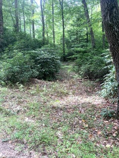 /international/us/3311-hanging-run-road-belington-wv-110107799796/