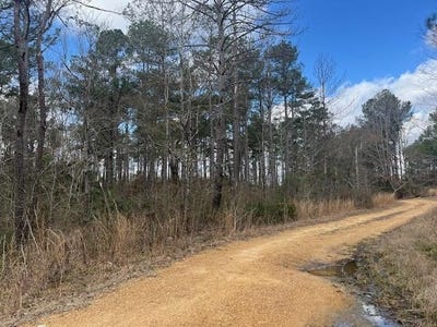 /international/us/1089-guynes-lane-crystal-springs-ms-110105281504/