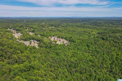 /international/us/bent-creek-drive-pelham-al-110089745452/