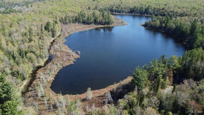/international/us/on-tahquamenon-truck-trail-road-columbus-mi-110108391914/