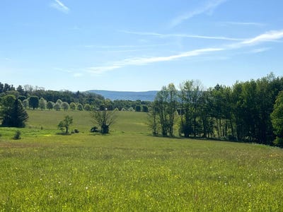 /international/us/1-3-county-road-29-new-berlin-ny-110102821777/