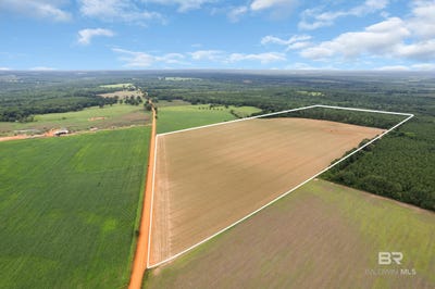 /international/us/old-stage-road-repton-al-110108849901/