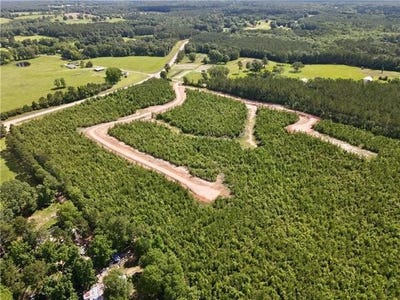 /international/us/parcel-3-436-highway-lot-3-franklinton-la-110108399090/