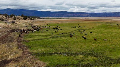 /international/us/tbd-klamath-falls-or-110104107001/