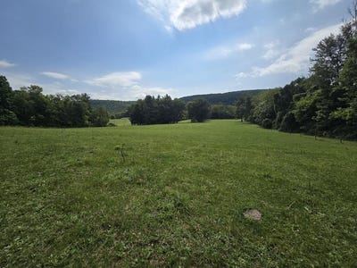 /international/us/wildwood-rd-sayre-pa-110109994360/