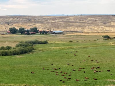 /international/us/durgan-miller-ranch-paulina-or-110103580304/