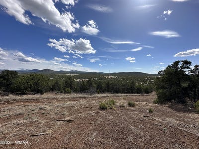 /international/us/tbd-n3135-vernon-az-110094700167/