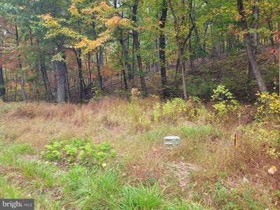 /international/us/hawk-trail-lot-165-winchester-va-110120617602/