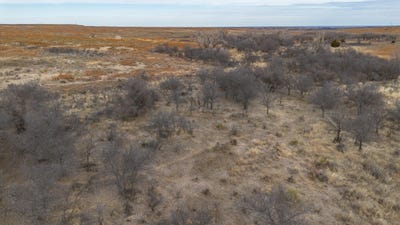 /international/us/peterson-creek-640ac-mclean-tx-110105224455/