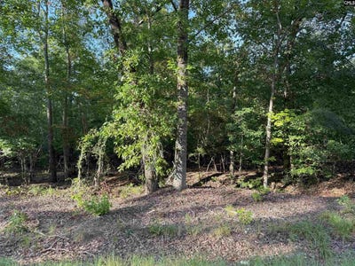 /international/us/204-willie-wilson-road-eastover-sc-110101191701/?lang=zh-tw
