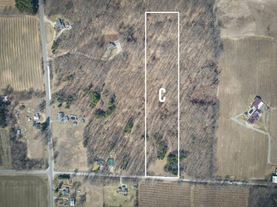 /international/us/parcel-c-w-grant-road-new-era-mi-110104256578/