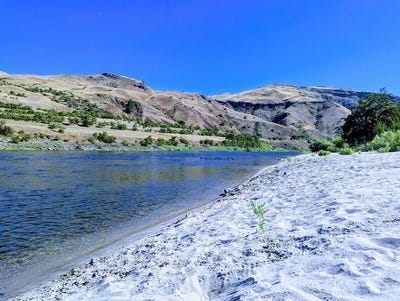 /international/us/126-river-bend-road-white-bird-id-110106619208/