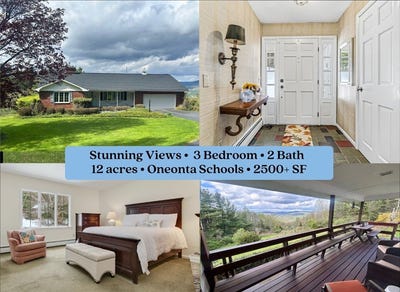 /international/us/260-state-highway-28-oneonta-ny-110106307687/