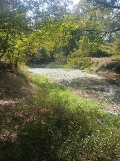 /international/us/33-00-acres-hwy-270-poyen-ar-110110356556/