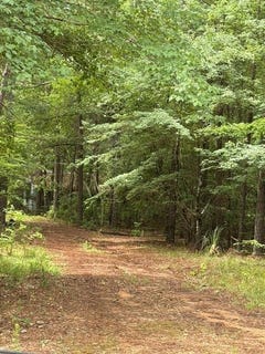 /international/us/53-robinson-road-seale-al-110108714374/