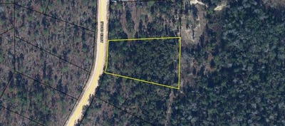 /international/us/911-aster-circle-marianna-fl-110108504923/
