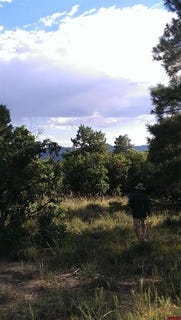 /international/us/43-butzke-court-pagosa-springs-co-110108331058/